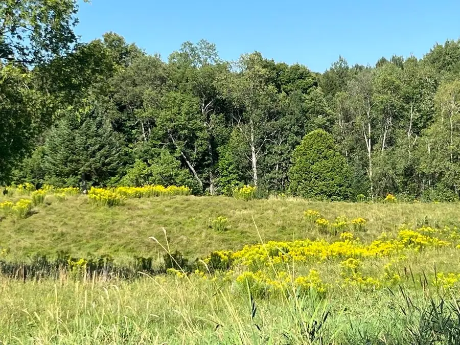 North Derby Road, Derby, VT 05829 - #2