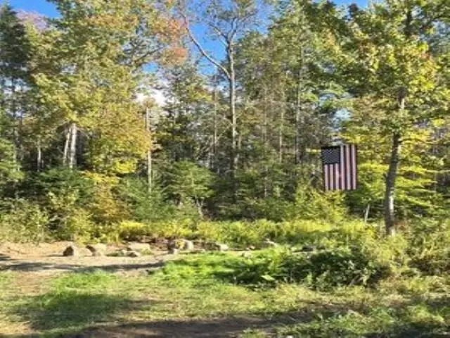 232 Kellogg Mill Road, Peacham, VT 05658 - #3