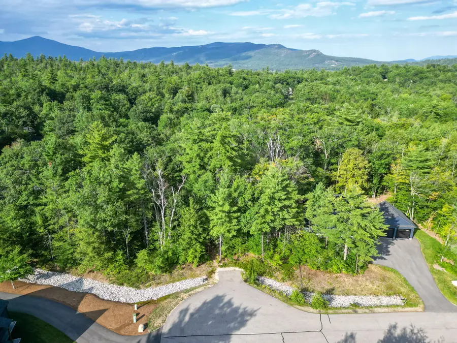 00 Madeline Way #45, Conway, NH 03818 - #2
