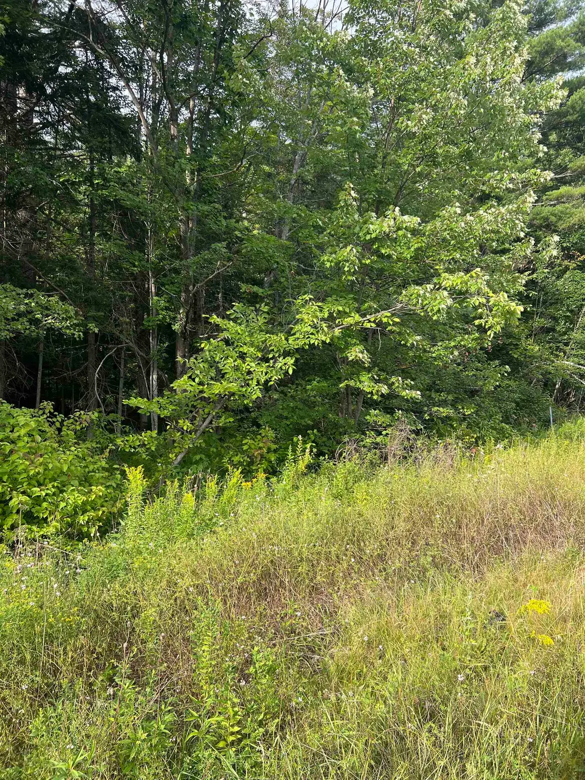 0 NH Route 4, Canaan, NH 03741 - #1