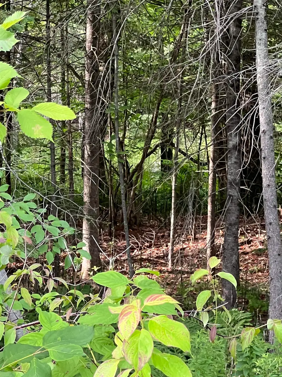 0 NH Route 4, Canaan, NH 03741 - #2
