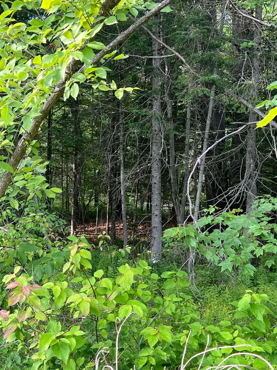 0 NH Route 4, Canaan, NH 03741 - #3
