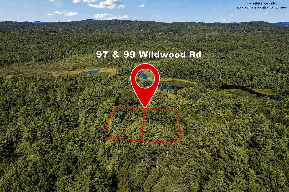97 & 99 Wildwood Road, Weare, NH 03281 - #1