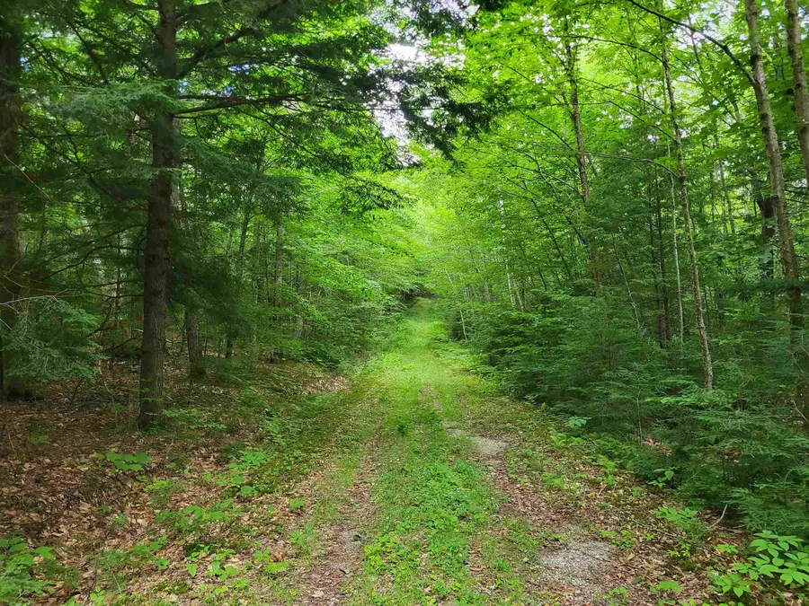 Lot 2 Bear Mountain Road, Hebron, NH 03241 - #3