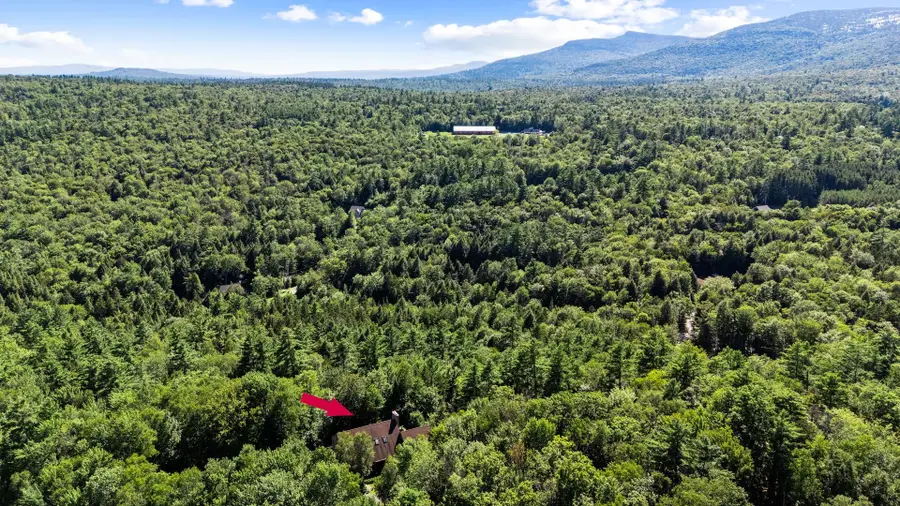 274 New Aldrich Road, Grantham, NH 03753 - #3