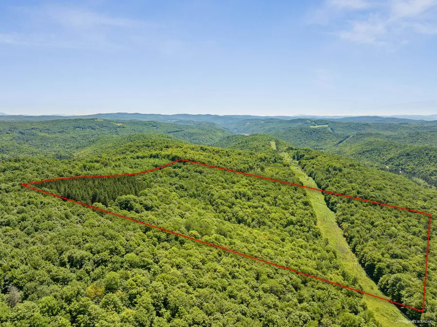 1771 Poor Farm Road, Washington, VT 05675 - #3