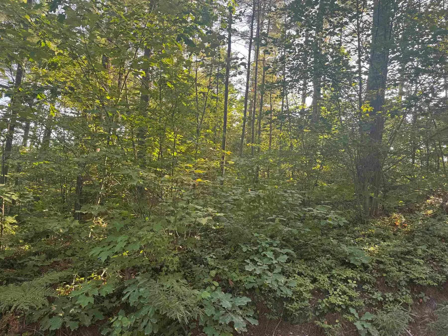 5 John Hodsdon Road, Ossipee, NH 03864 - #3