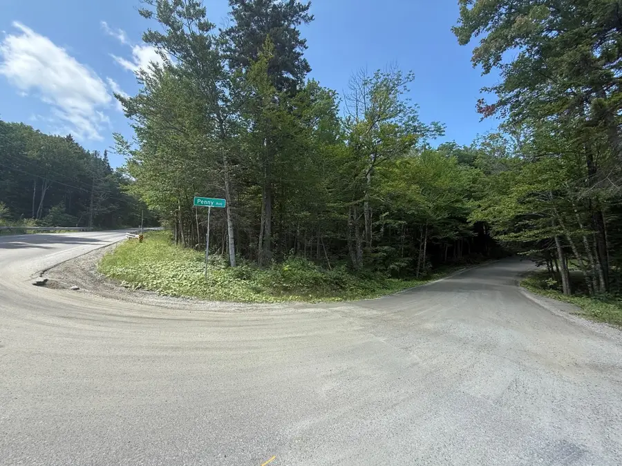 Penny Avenue, Stratton, VT 05155 - #2