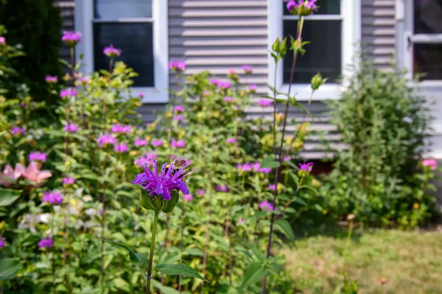 85 Highland Avenue, Hinsdale, NH 03451 - #3
