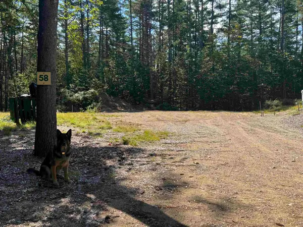 58 Wiggin Lane, Tamworth, NH 03817