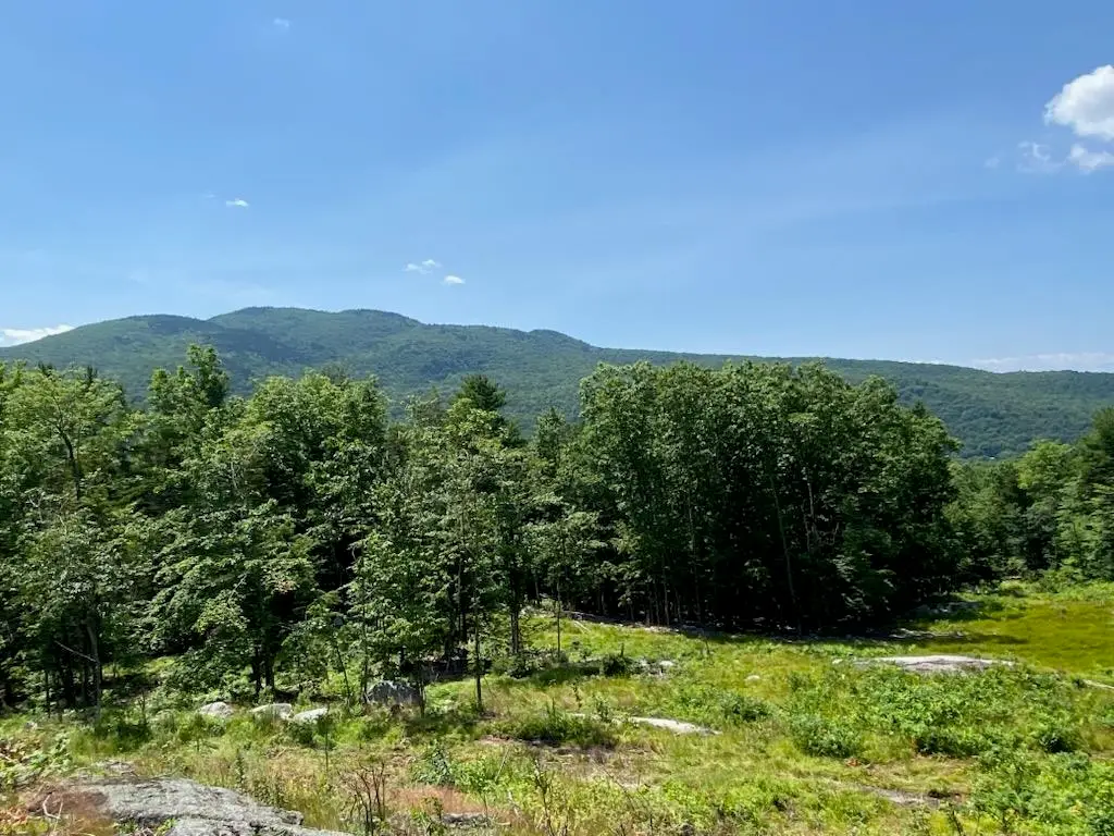 114 Park Ten Road, Newbury, NH 03255 - #1