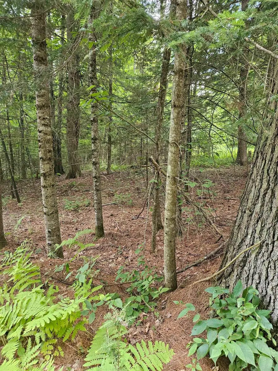 00 Straford Drive, Mountain Lakes, NH 03785 - #2