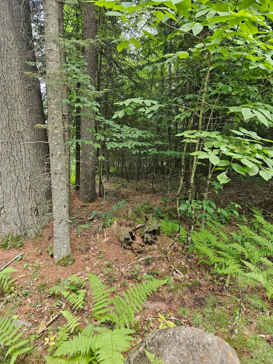 00 Straford Drive, Mountain Lakes, NH 03785 - #3