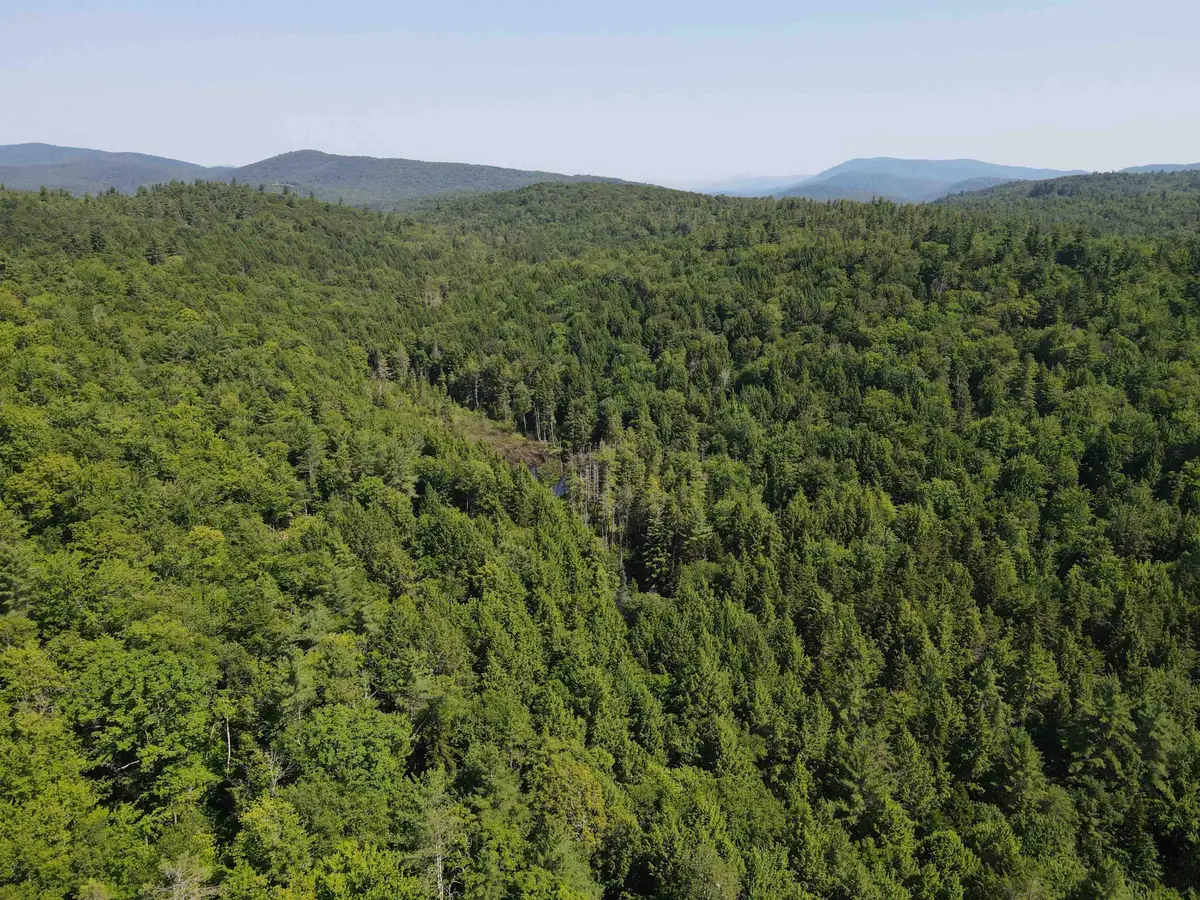 0 South Hill Road, Jamaica, VT 05343 - #1