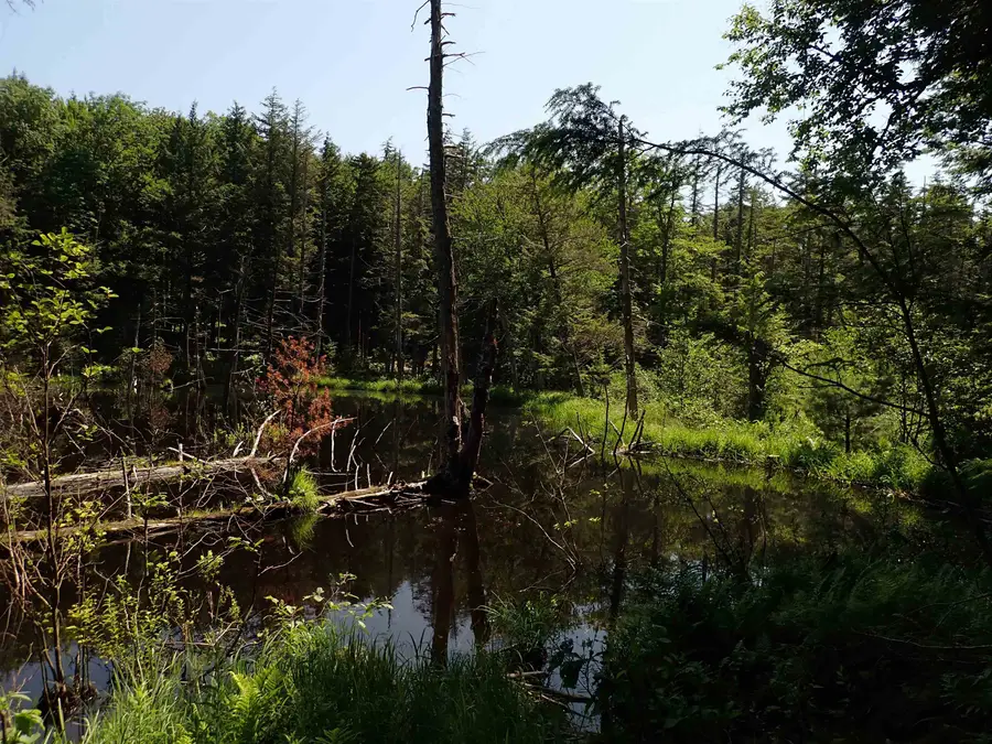 0 Schoolhouse Road, Jamaica, VT 05343 - #2