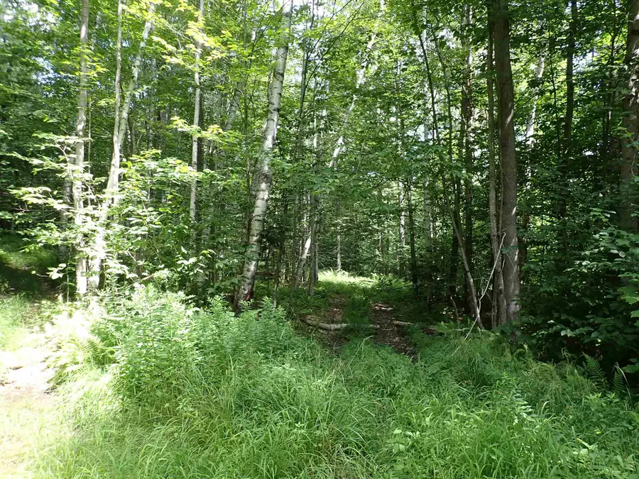 0 Schoolhouse Road, Jamaica, VT 05343 - #3