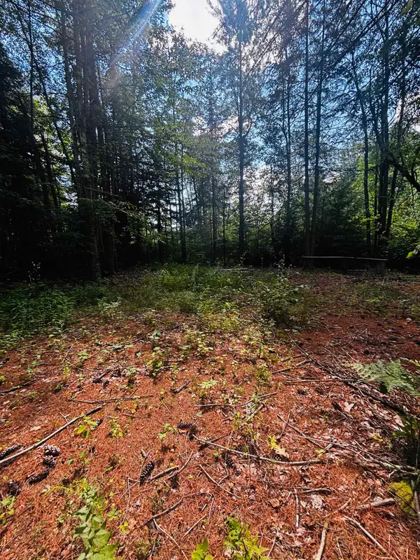 TBD Birch Hill Road, New Durham, NH 03855