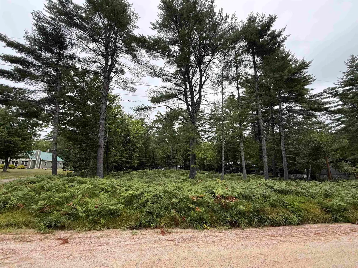 00 Birchwood Farm Road #24, Freedom, NH 03836 - #1