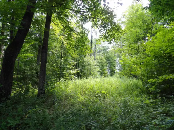20 Center Street, Proctor, VT 05765
