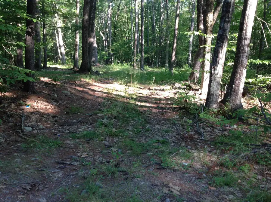 29 Stoneview Road, Ossipee, NH 03864 - #3