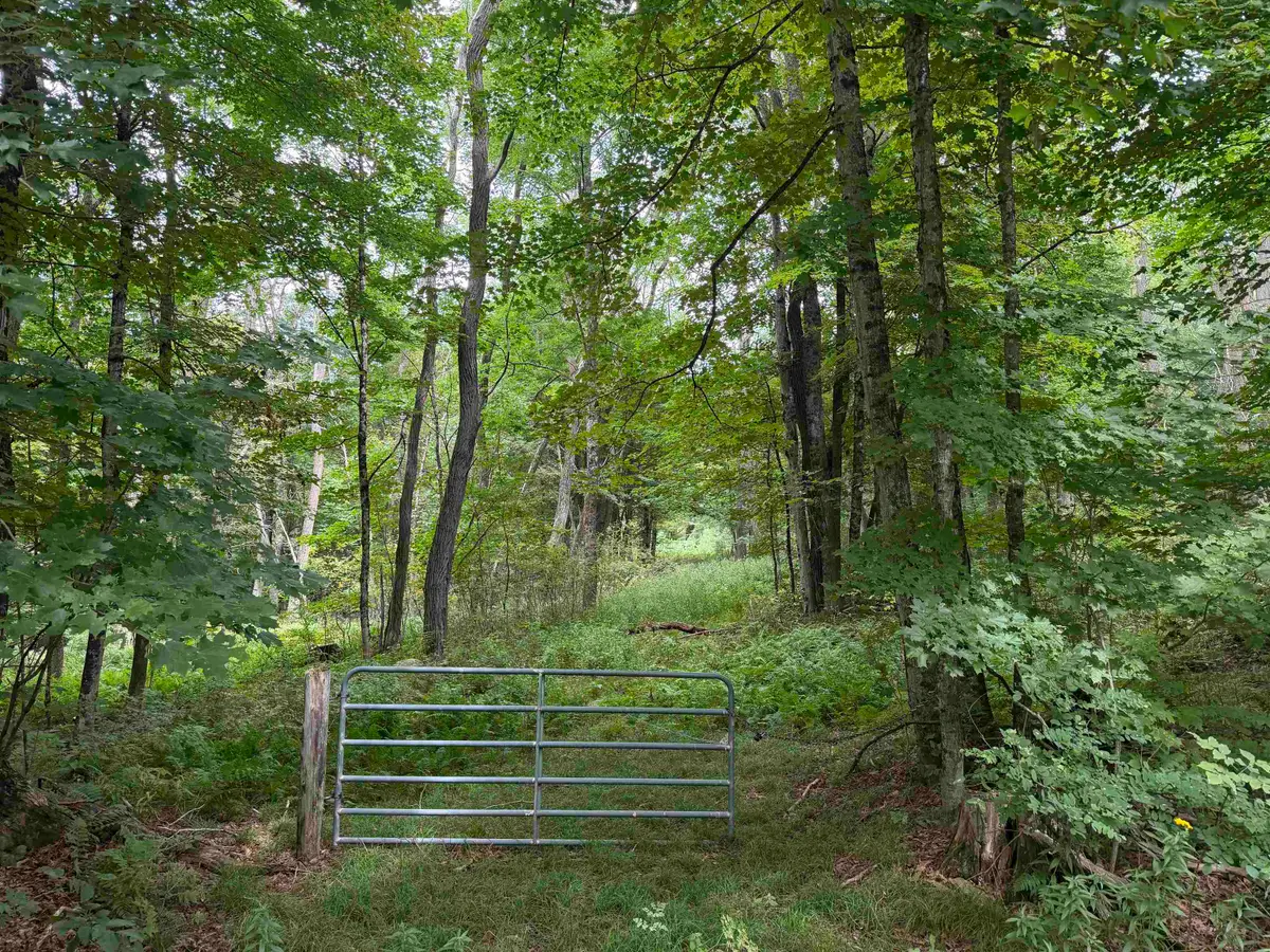 700 Taplin Hill Road, Corinth, VT 05039 - #1