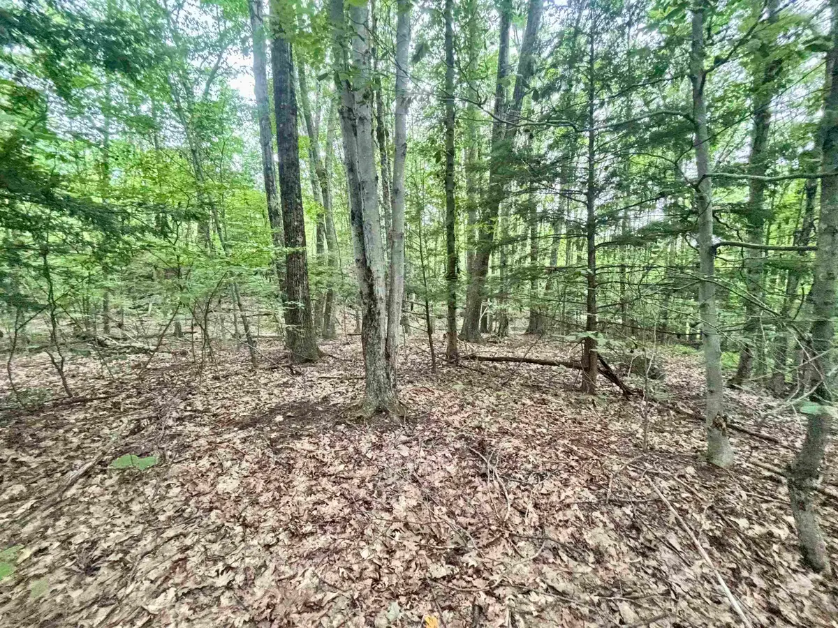 55-10 Longwood Drive, Greenfield, NH 03047 - #1