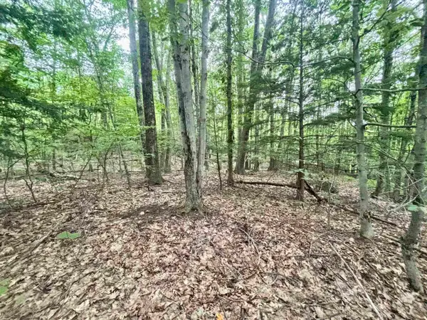 55-10 Longwood Drive, Greenfield, NH 03047