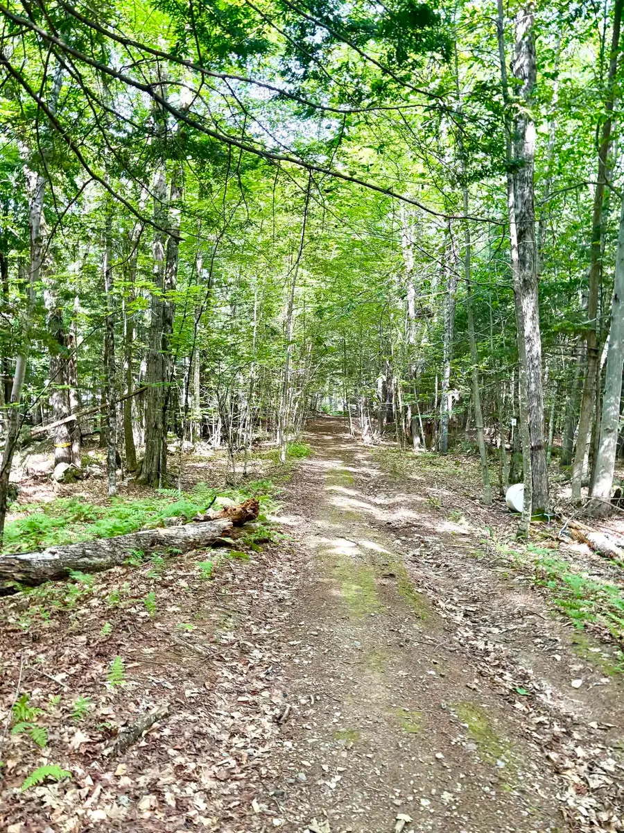 Lot 18.3 South Road, Hopkinton, NH 03229 - #3
