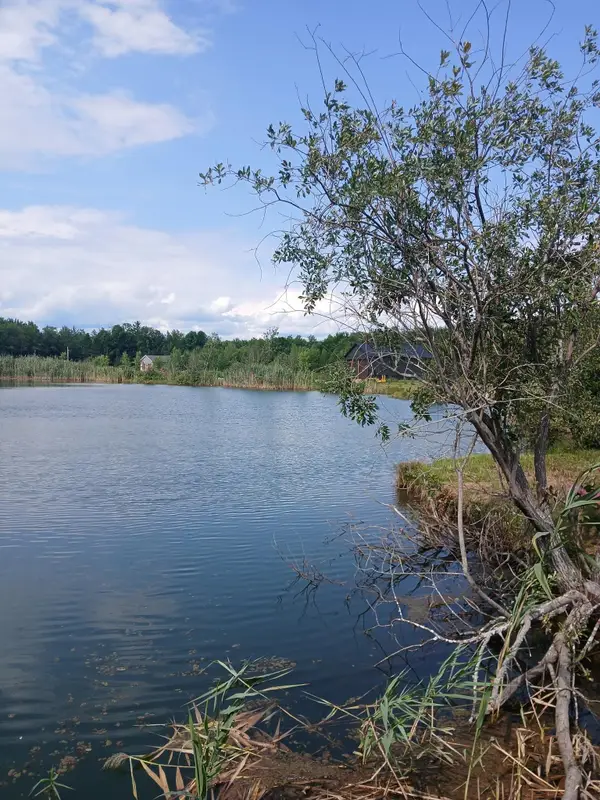 461 Bog Road, Enfield, NH 03748