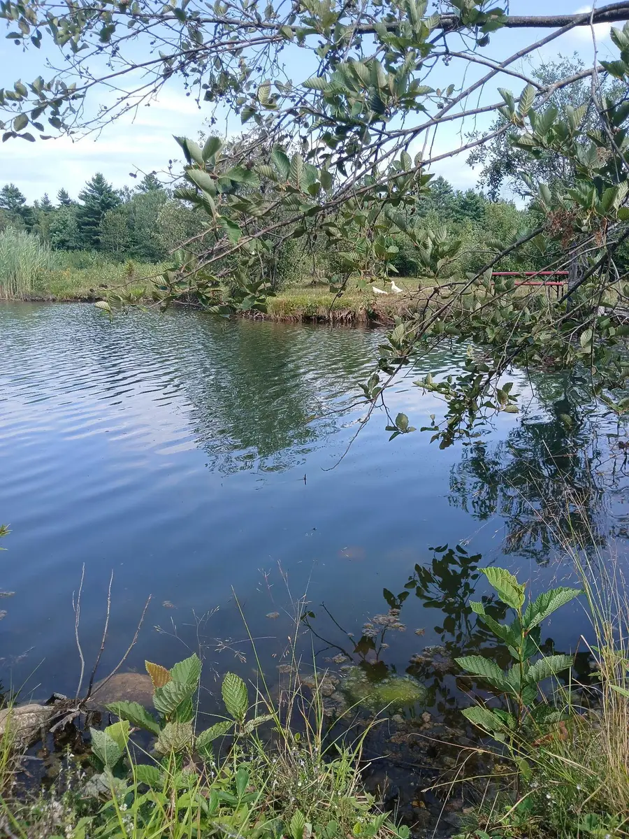 461 Bog Road, Enfield, NH 03748 - #2