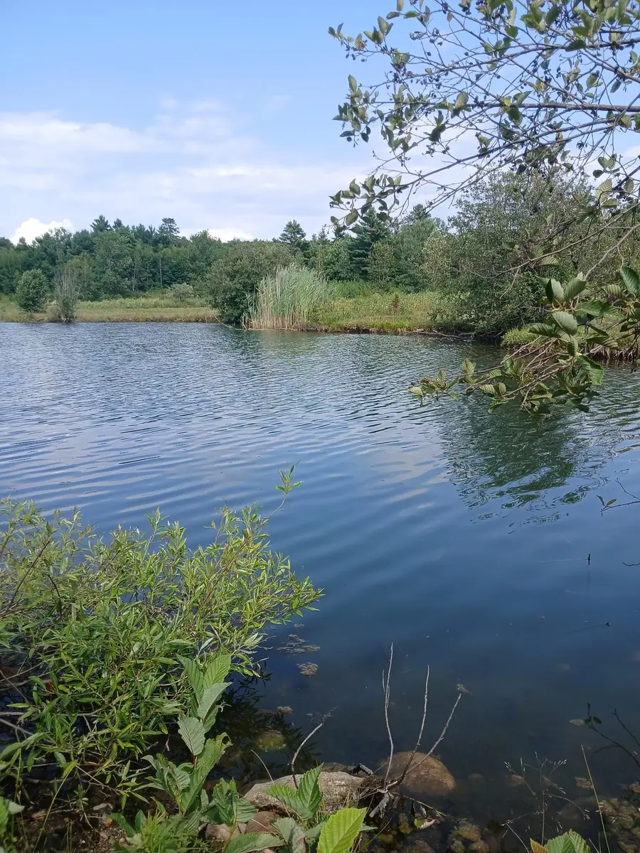461 Bog Road, Enfield, NH 03748 - #3