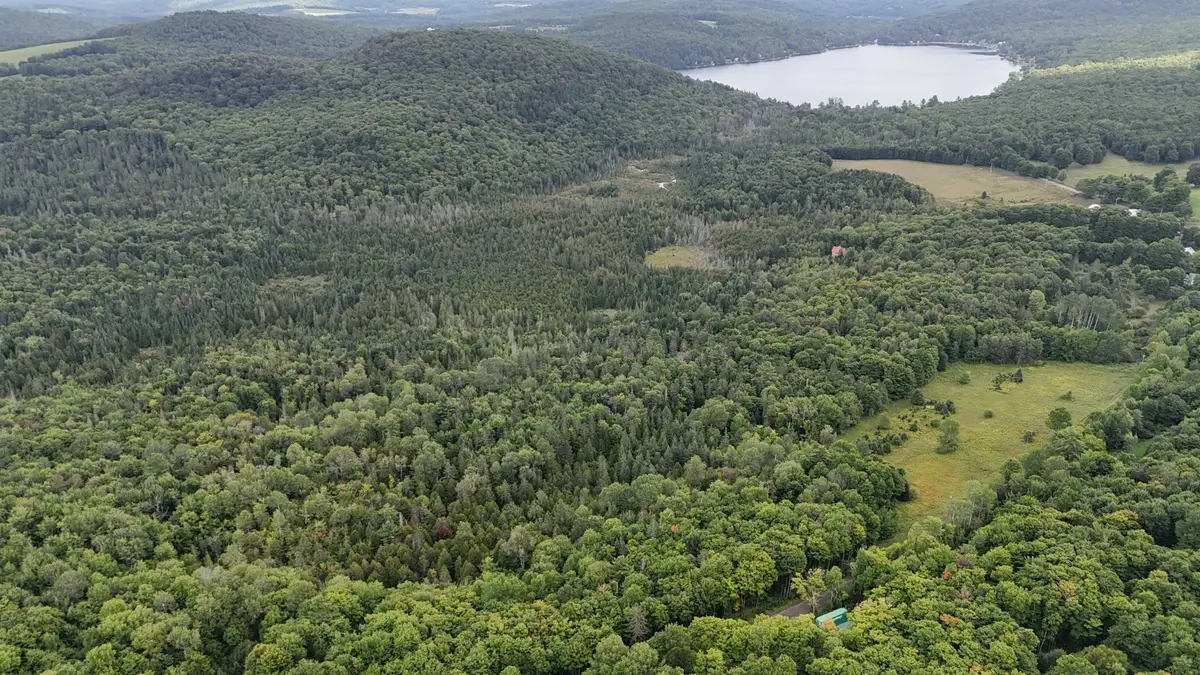 Shadow Lake Road, Glover, VT 06839 - #1
