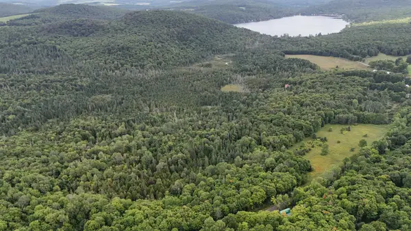 Shadow Lake Road, Glover, VT 06839