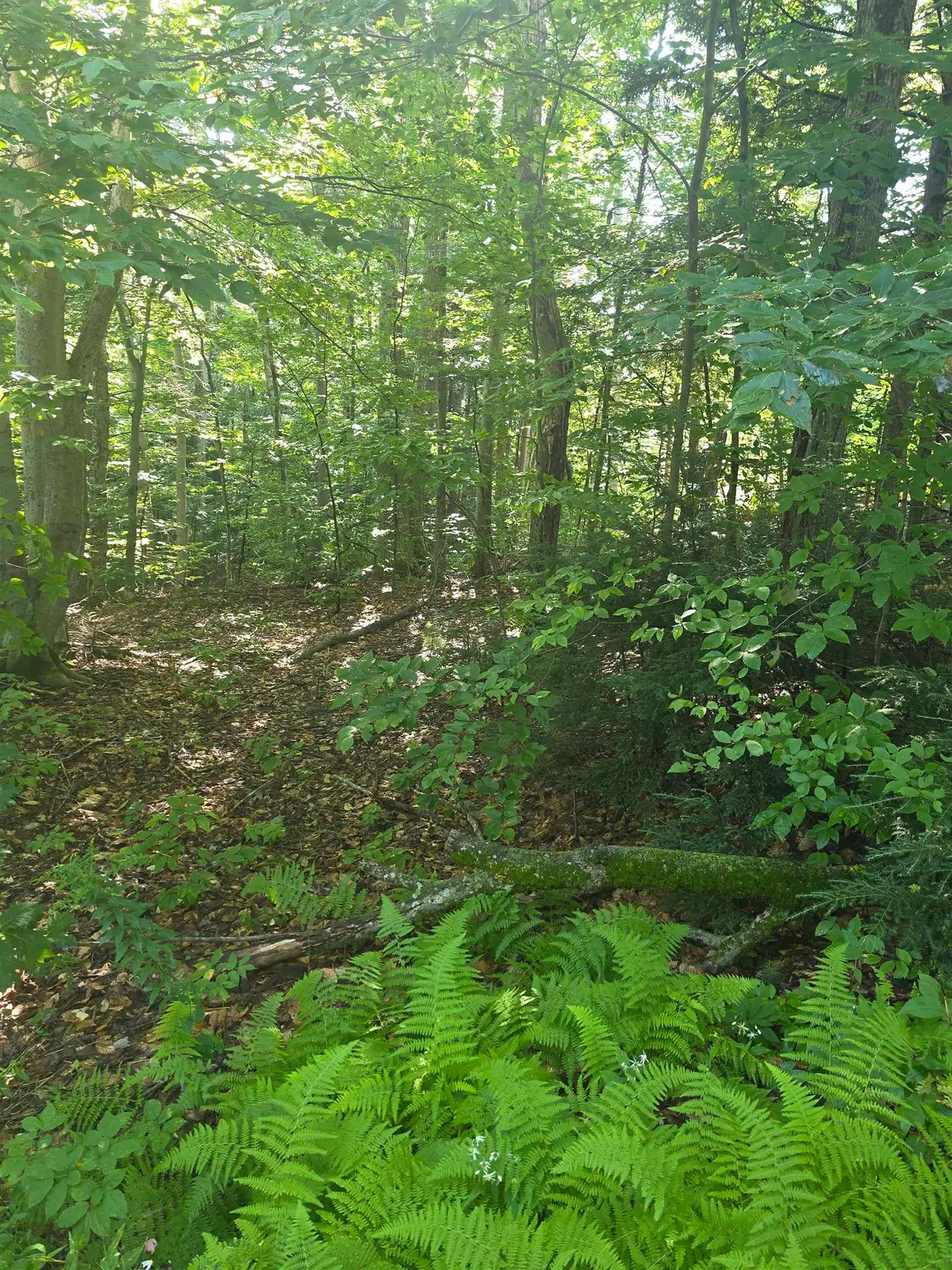 00 Allard Farm Circuit, Conway, NH 03860 - #1