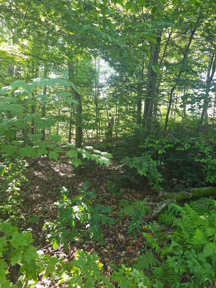 00 Allard Farm Circuit, Conway, NH 03860 - #2