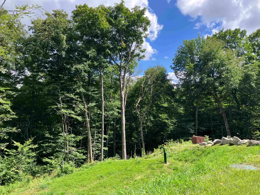 47 Upper Howes Road #A-23, Wilmington, VT 05363 - #2