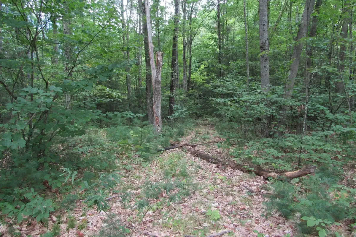 00 Mill Street, Mountain Lakes, NH 03785 - #1