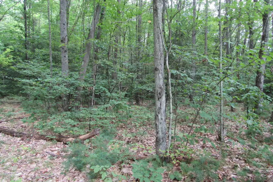 00 Mill Street, Mountain Lakes, NH 03785 - #2