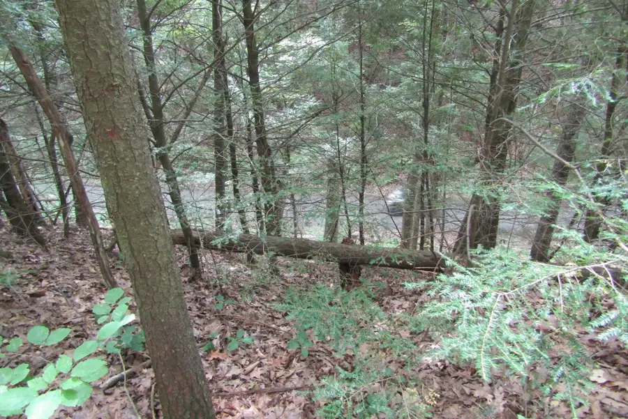 00 Mill Street, Mountain Lakes, NH 03785 - #3
