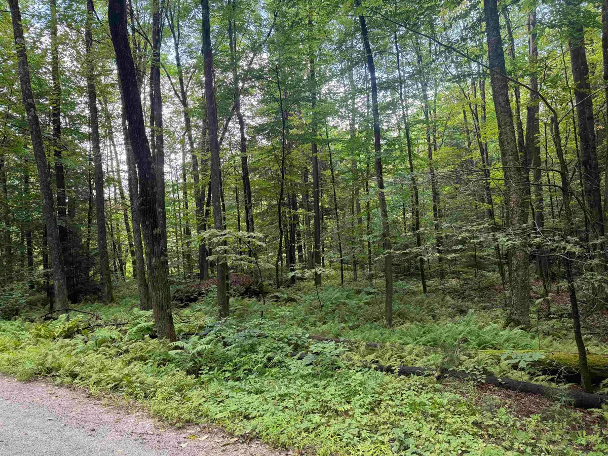Anderson Road, Grafton, VT 05146 - #1