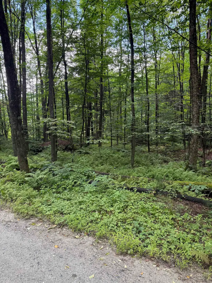 Anderson Road, Grafton, VT 05146 - #2