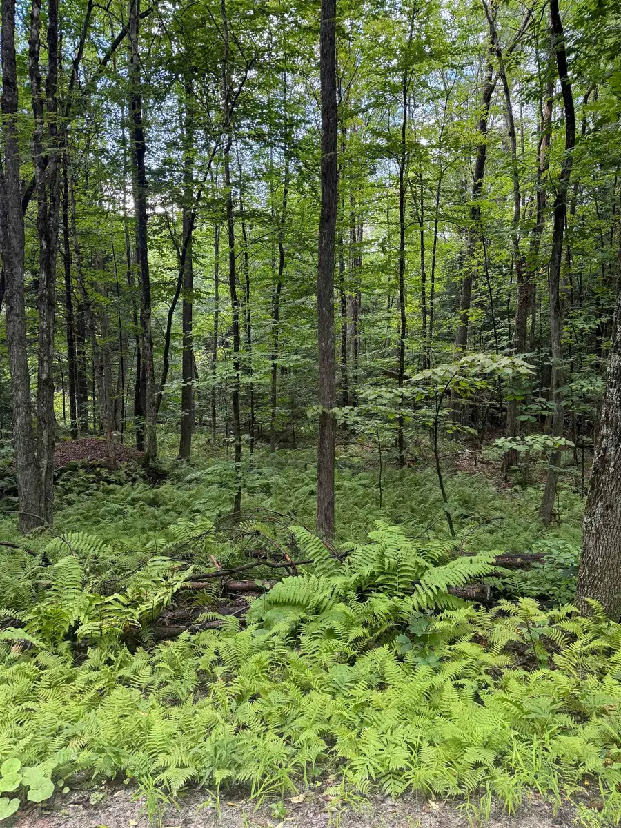 Anderson Road, Grafton, VT 05146 - #3