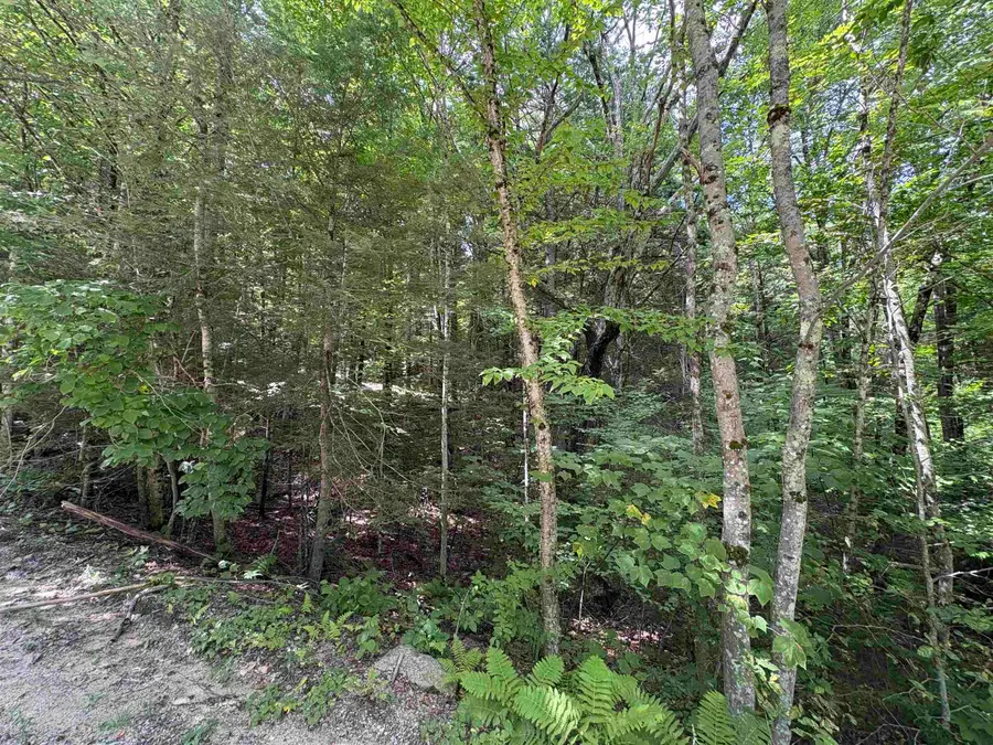 Craig Road, Antrim, NH 03440 - #2