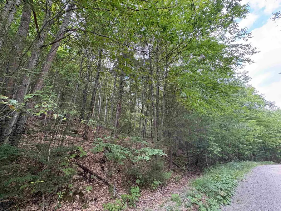 Craig Road, Antrim, NH 03440 - #3