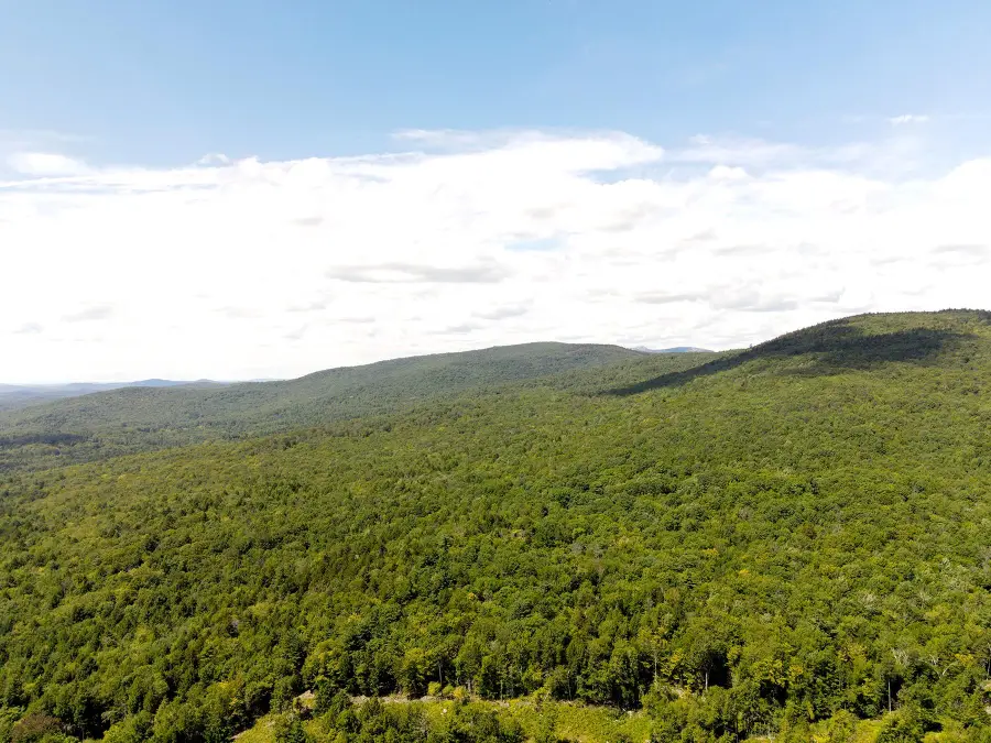 Poor Farm Road, Alexandria, NH 03222 - #3