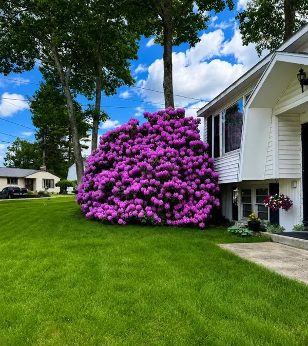 8 Radcliffe Drive, Nashua, NH 03062