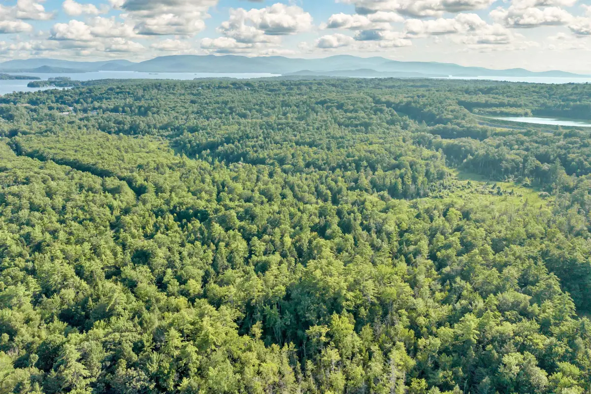 290 Pine Hill Road, Wolfeboro, NH 03894 - #1