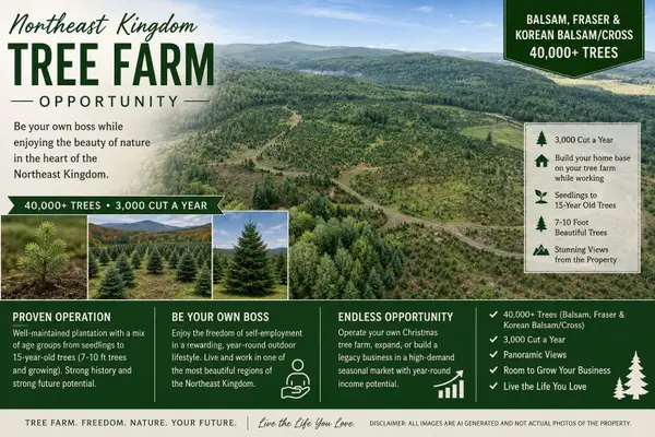- Capon Brook Road, Canaan, VT 05903