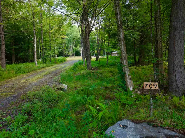 709 Bertha Springs Road, Waitsfield, VT 05673
