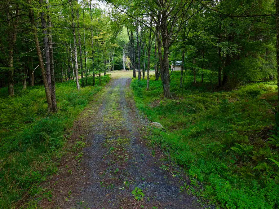 709 Bertha Springs Road, Waitsfield, VT 05673 - #3